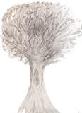 Baum